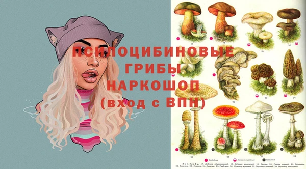 круглые Алзамай