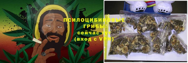 ГАЛЛЮЦИНОГЕННЫЕ ГРИБЫ Алексин