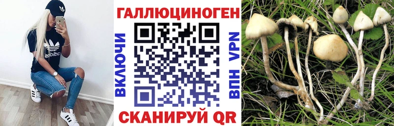 наркошоп  Фролово  Псилоцибиновые грибы Psilocybe 